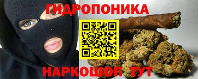 каннабис Кингисепп