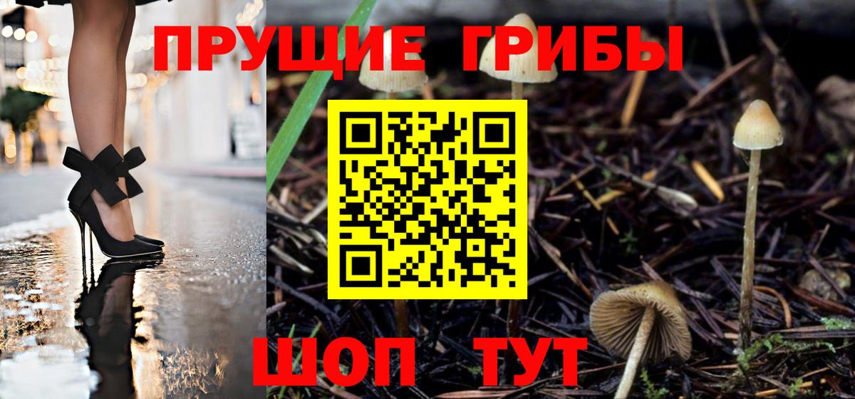Галлюциногенные грибы мицелий  Псилоцибиновые грибы Psilocybe  Елец  Вход с VPN 